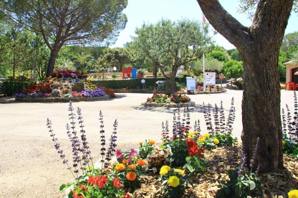 Mobile Home 6-Pers Camping Lei Suves-Cotes D'Azur-Including Airco Roquebrune-sur Argens Ngoại thất bức ảnh